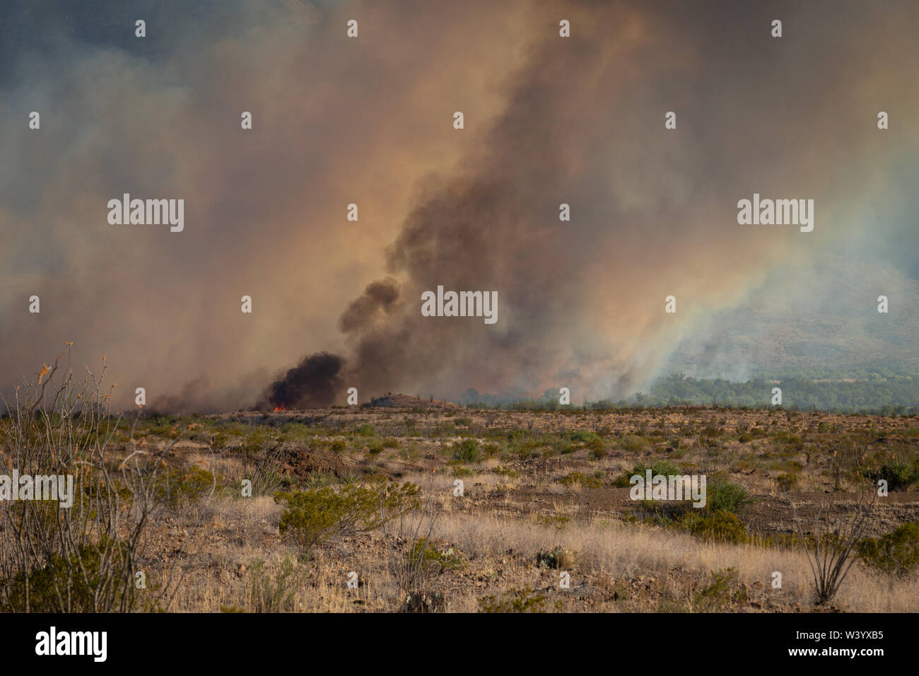 Aus dem Rauch aufsteigt, Costolon Feuer entlang des Rio Grande. Stockfoto