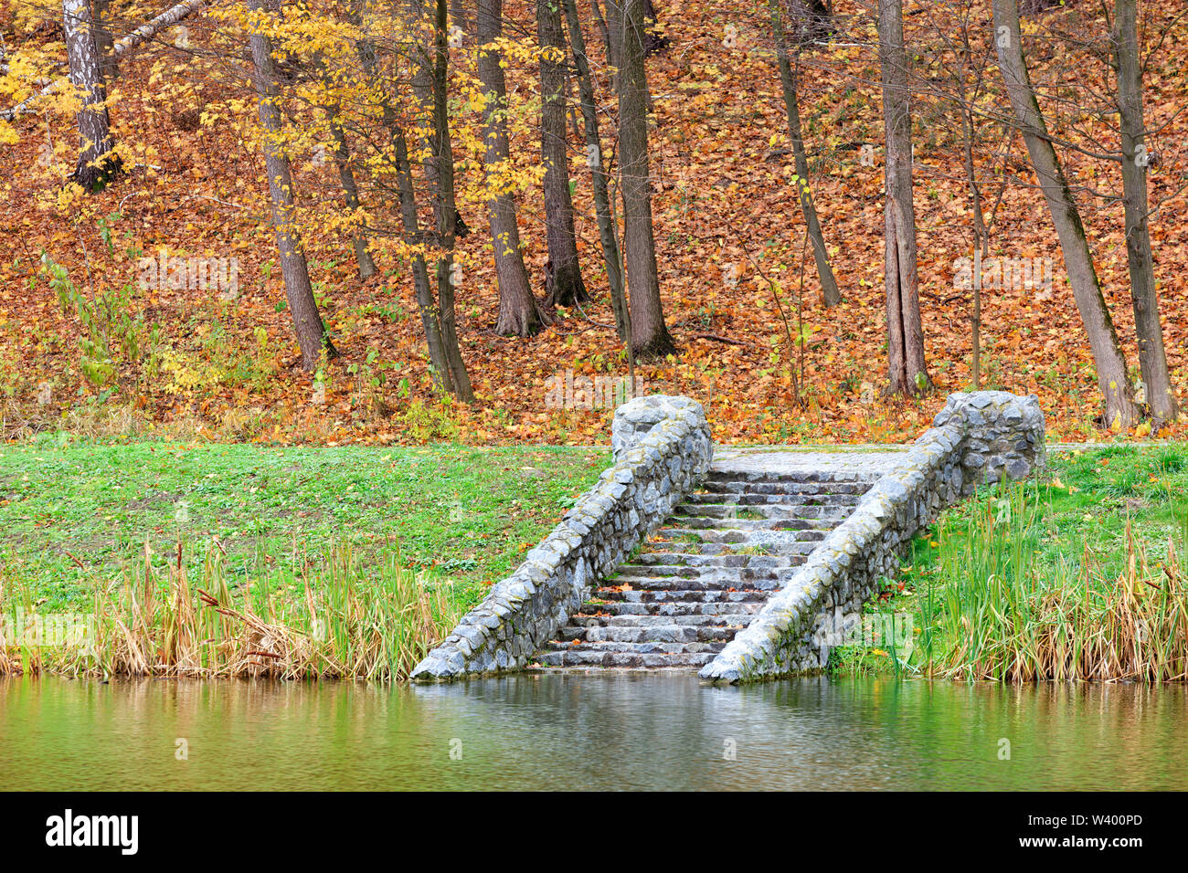 Am Ufer des Herbst Wald Teich, die Alten, Bemoosten, steinerne Stufen berühren die ruhige Oberfläche des Wassers. Stockfoto