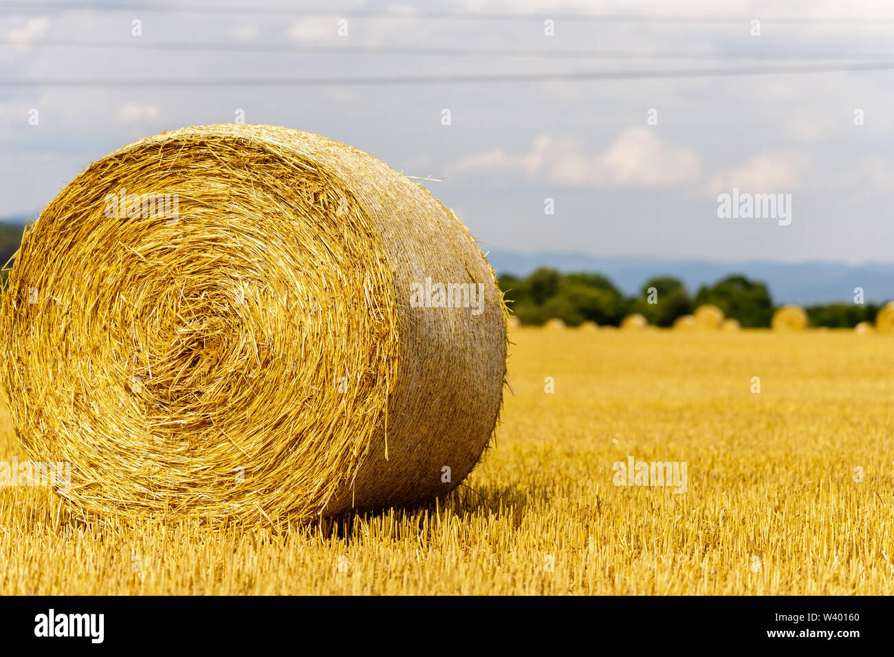 Strohballen auf dem Feld. Nach der Ernte das Getreide im Sommer Stockfoto