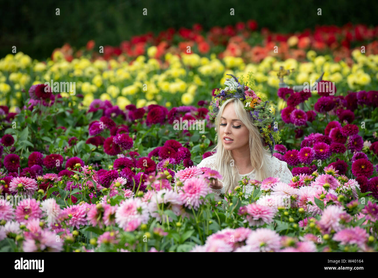 Weibliche Modell mit einem floralen Kopfschmuck unter den Dahlie Blume Anzeige an der RHS Tatton Park Flower Show 2019. Knutsford, Cheshire, Großbritannien Stockfoto