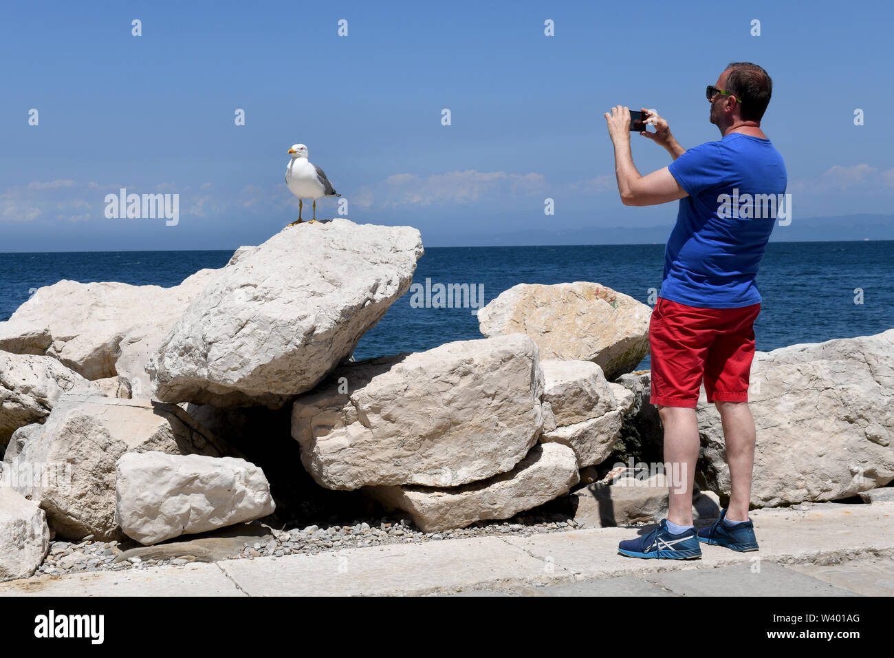 Watch The Birdie! Man touristische Fotografie eine Möwe Vogel in Slowenien Stockfoto