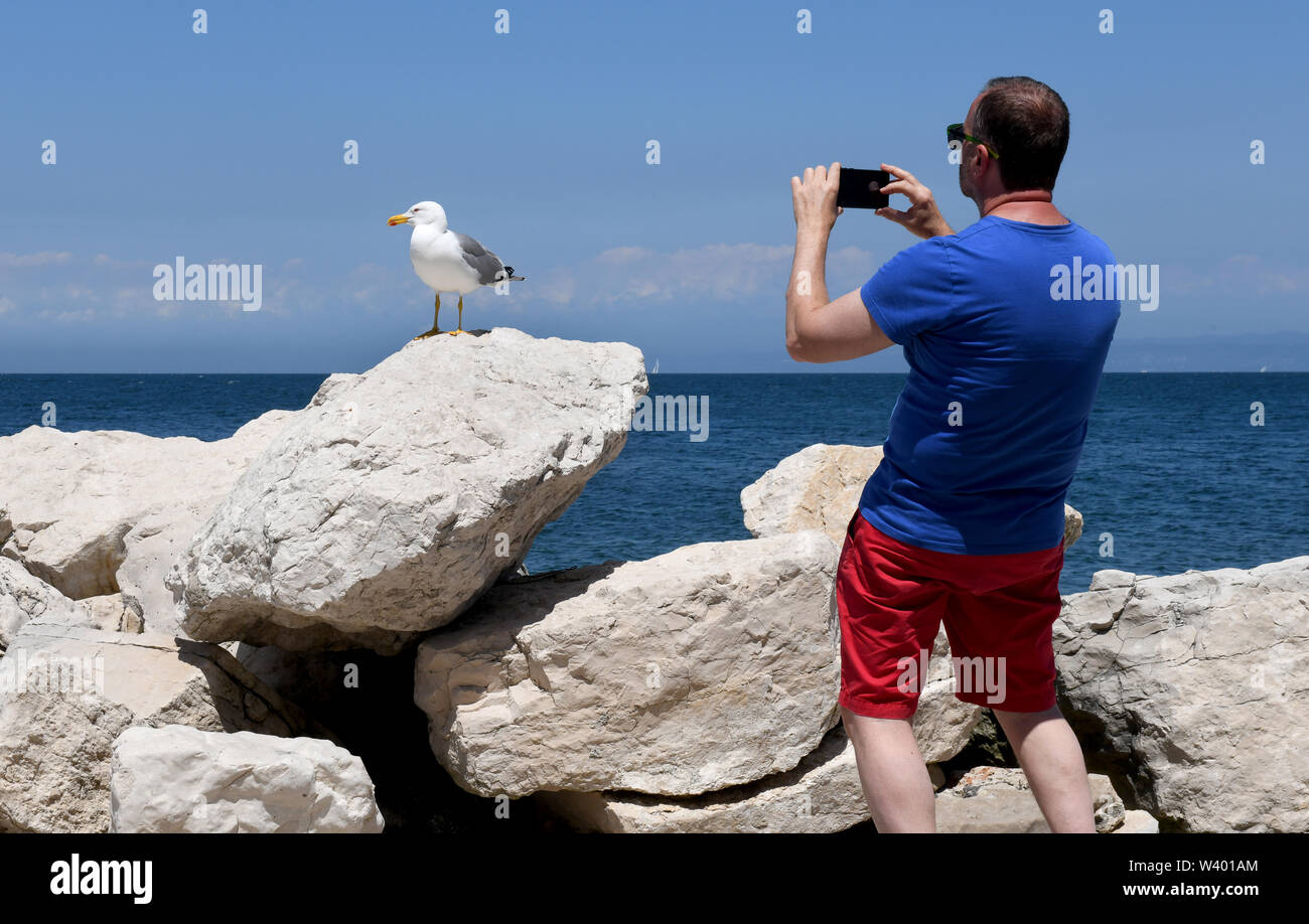Watch The Birdie! Man Touristen fotografieren einer Möwe Vogel in Slowenien Stockfoto