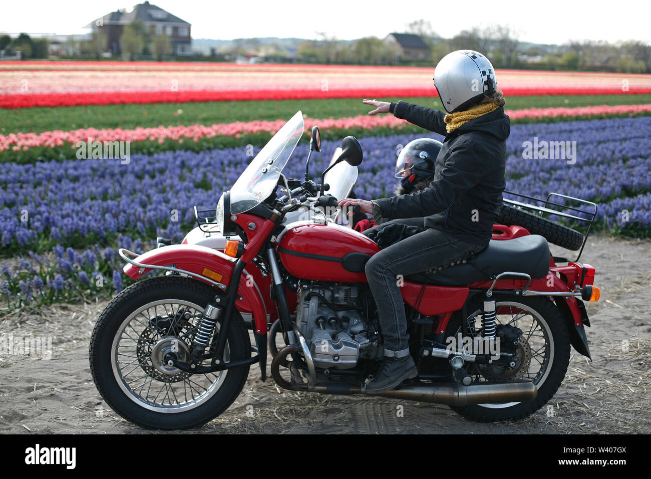 Ein paar Freunde die Erkundung der Holländischen Landschaft gehen Blick an Tulpen Stockfoto