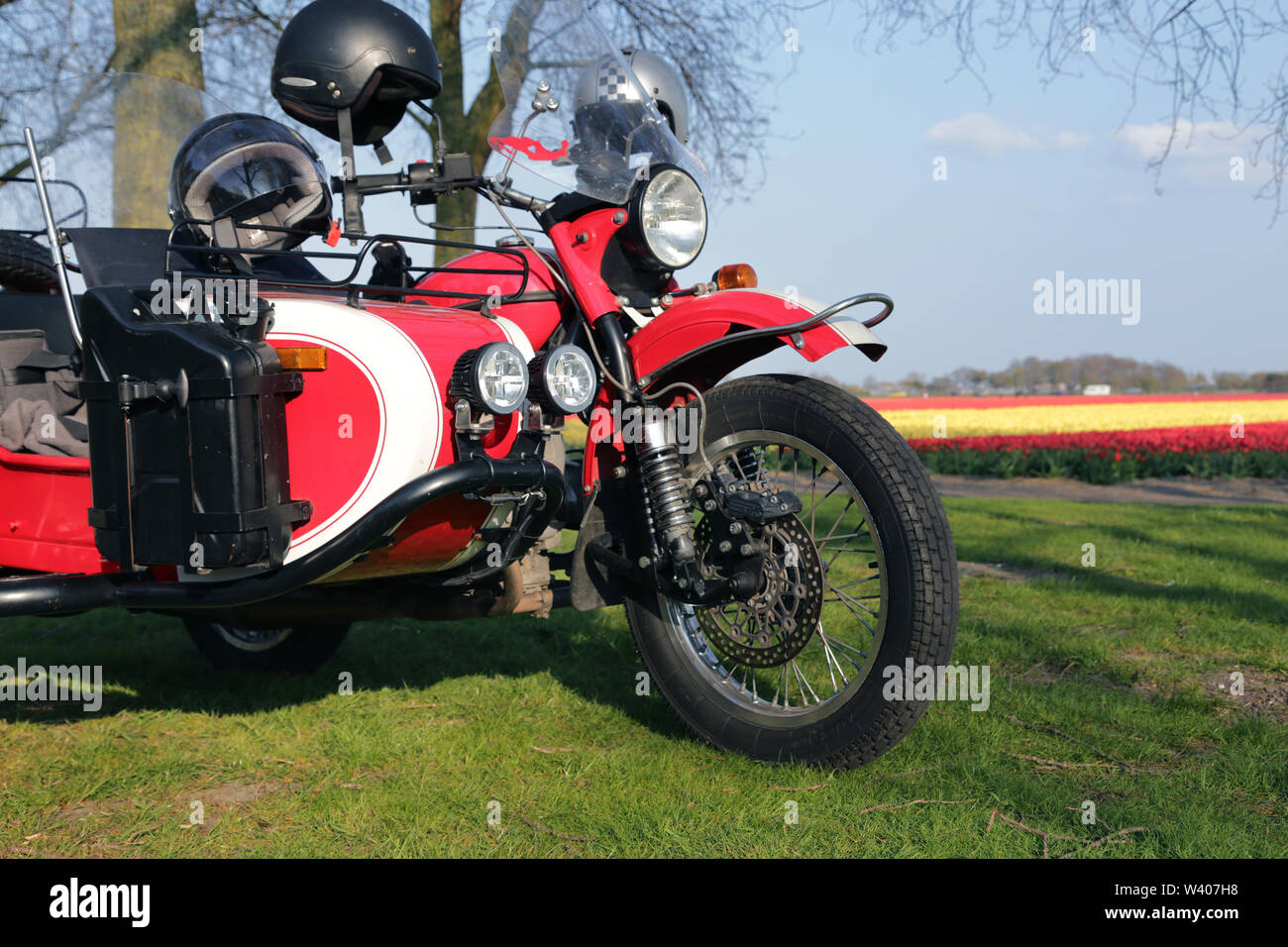 Nahaufnahme eines geparkten roten Motorrad mit Beiwagen und Tulpenfelder Stockfoto
