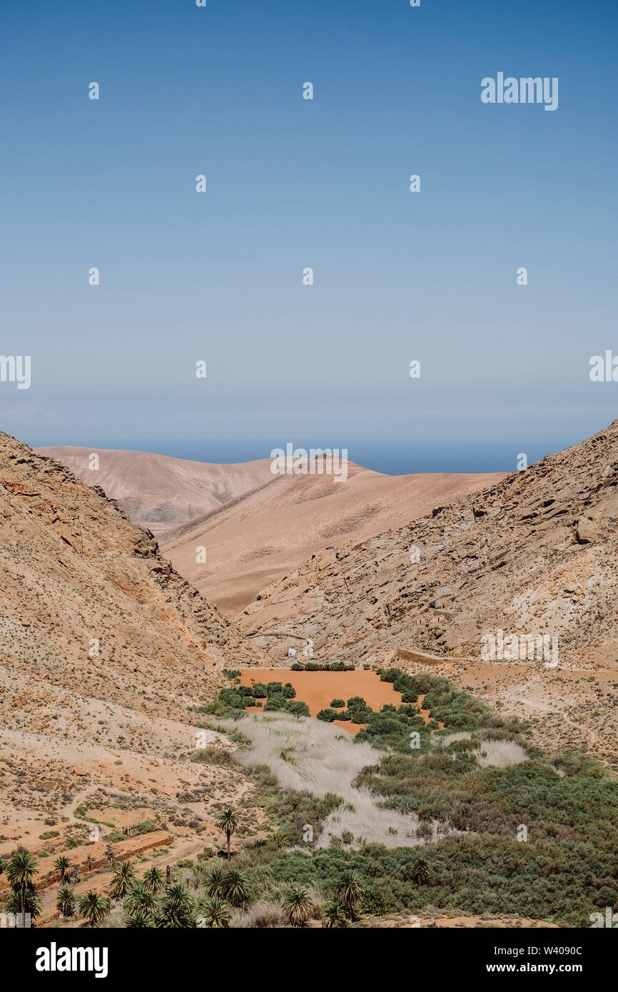 Wüstenlandschaft in Fuerteventura Stockfoto