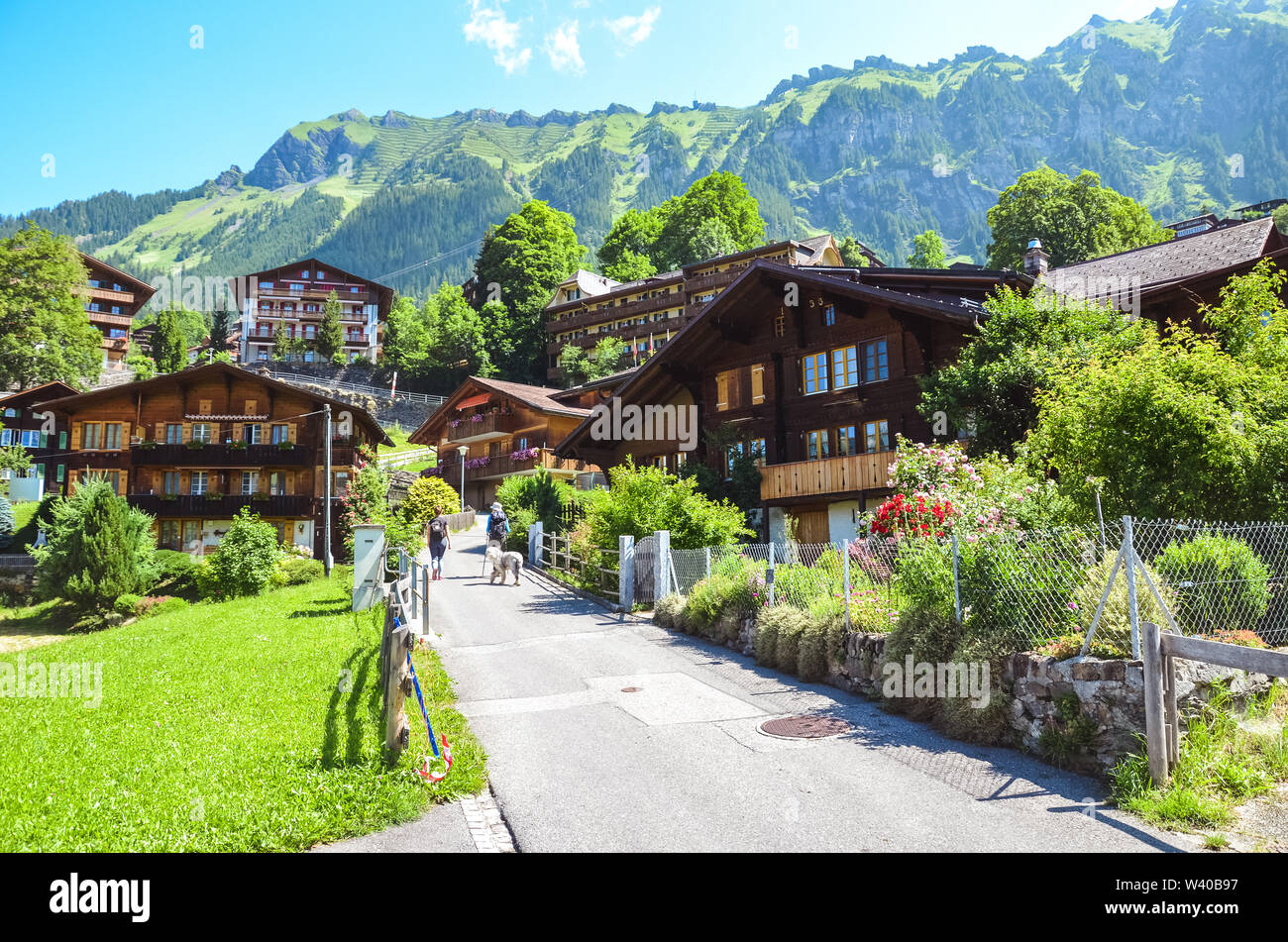 Malerische Bergdorf Wengen in Schweiz in der Sommersaison. Mountain Chalets, Wanderer und grüne Hügellandschaft. Schweizer Alpen. Die Schweiz im Sommer. Alpine Landschaft. Stockfoto