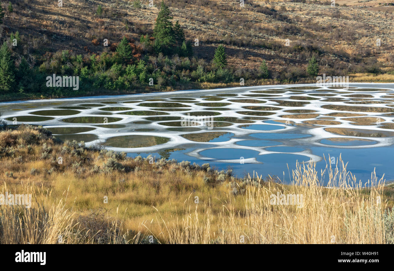 Kanada, British Columbia, South Okanagan Valley in der Nähe von Osoyoos, Spotted Lake ist ein See für die Okanagan (Syilx) Menschen Stockfoto