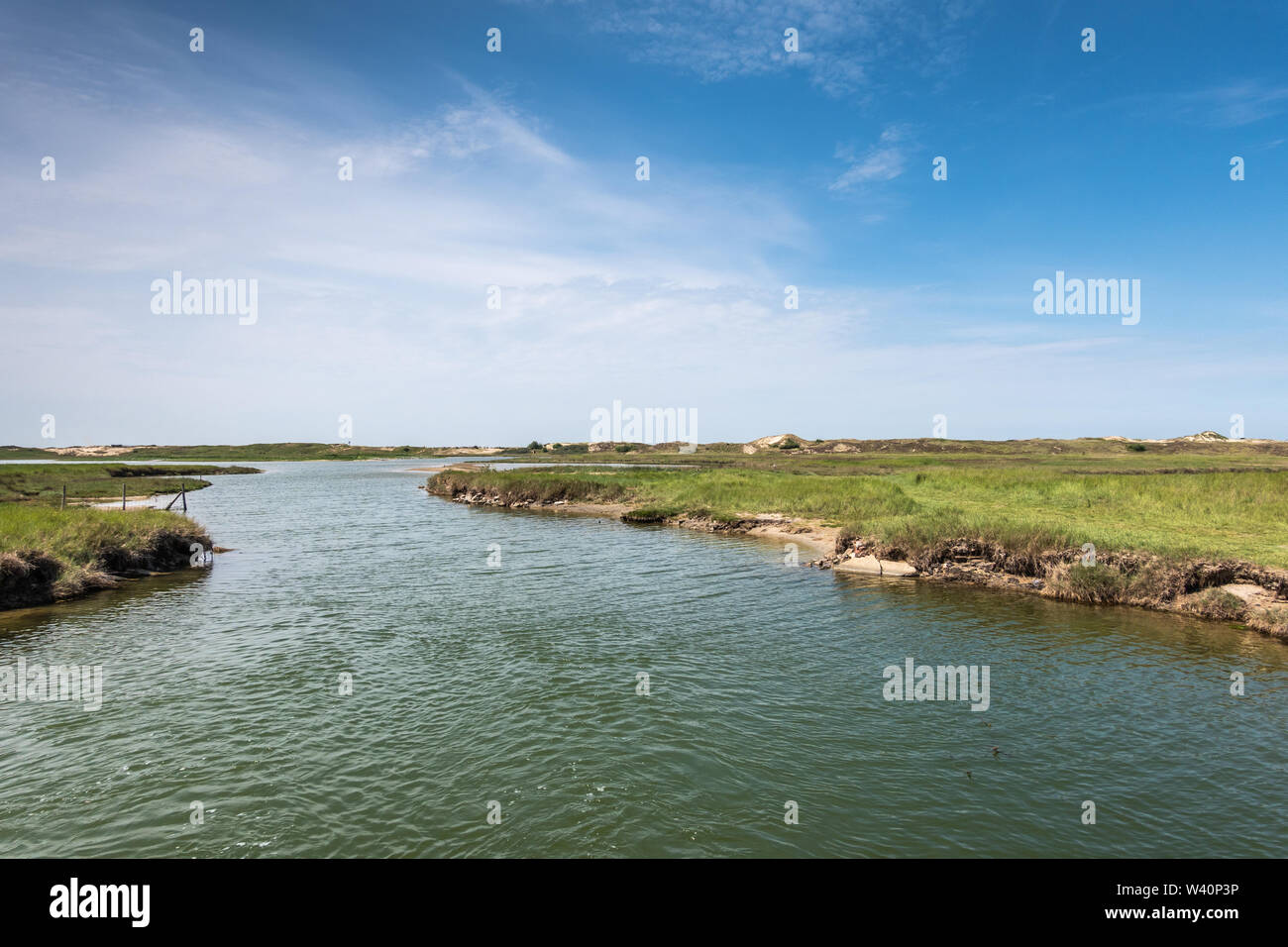 Knokke-Heist, Flandern, Belgien - 18. Juni 2019: Zwin Vogel Zuflucht. Landschaft mit Salzwasser Creek vor den Dünen Schutz von Nord Meer.. Stockfoto