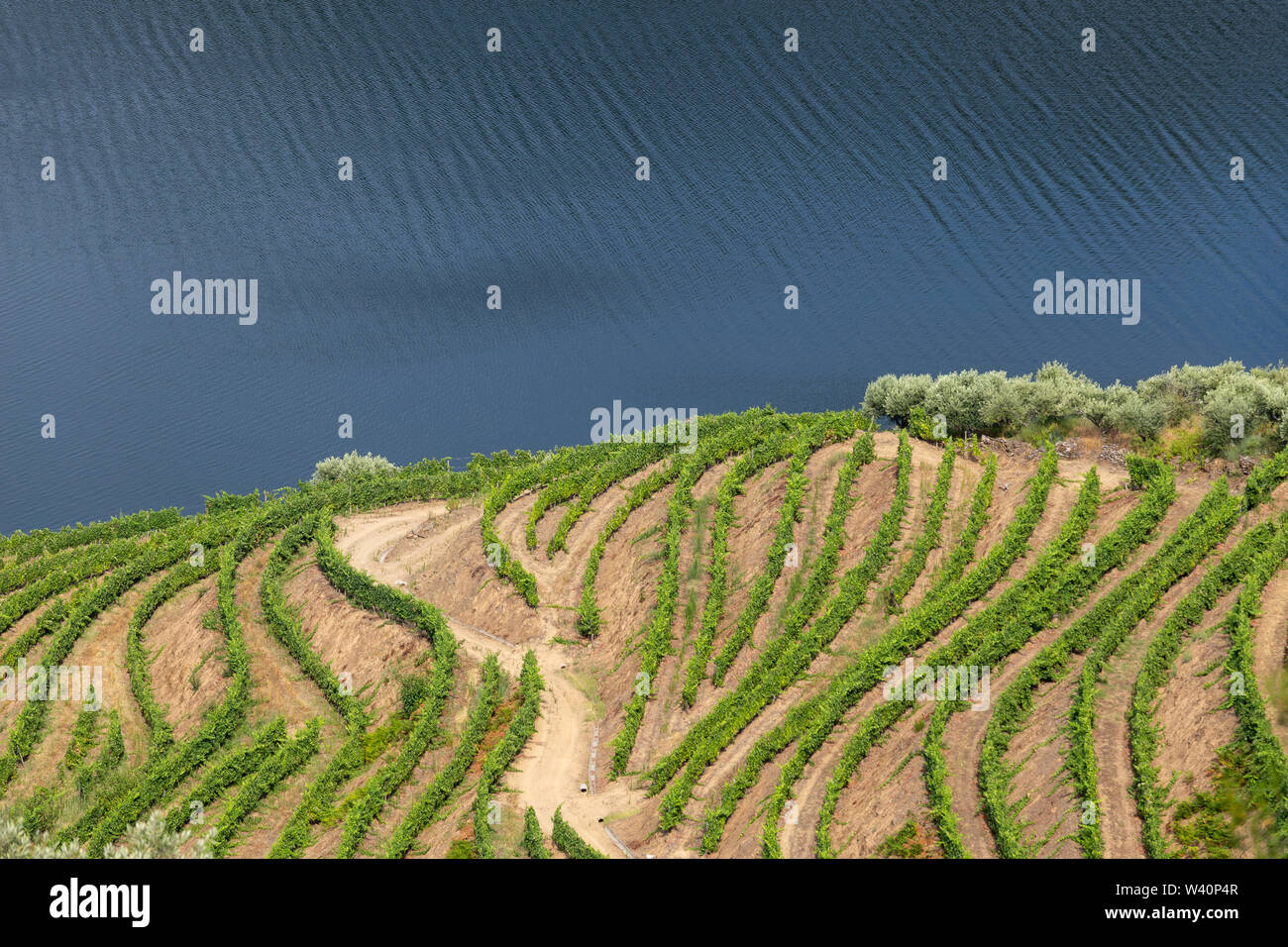 Malerischer Blick auf Alto Douro Vinhateiro mit Terrassen und Weinberge Stockfoto