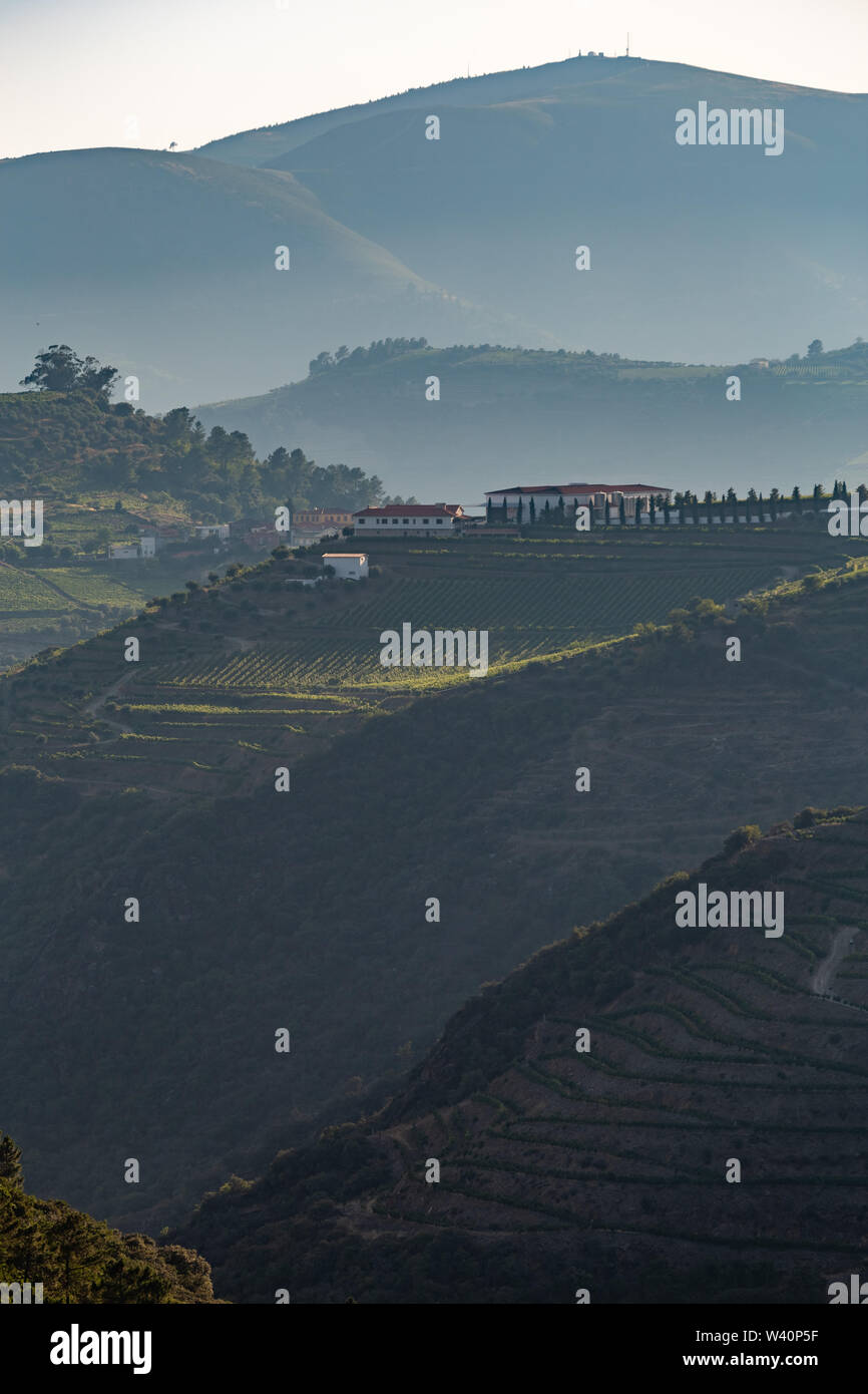 Malerischer Blick auf Alto Douro Vinhateiro mit Terrassen und Weinberge Stockfoto