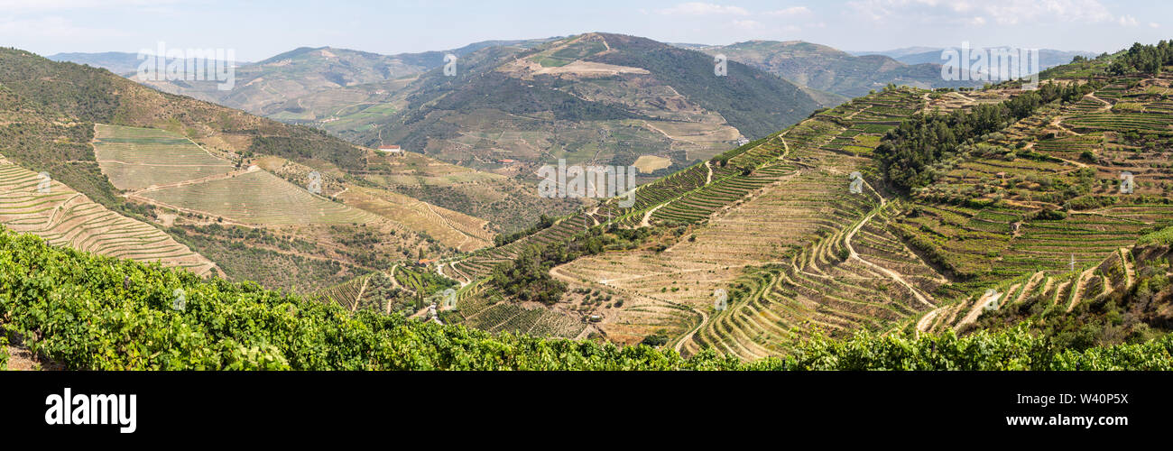 Malerischer Blick auf Alto Douro Vinhateiro mit Terrassen und Weinberge Stockfoto