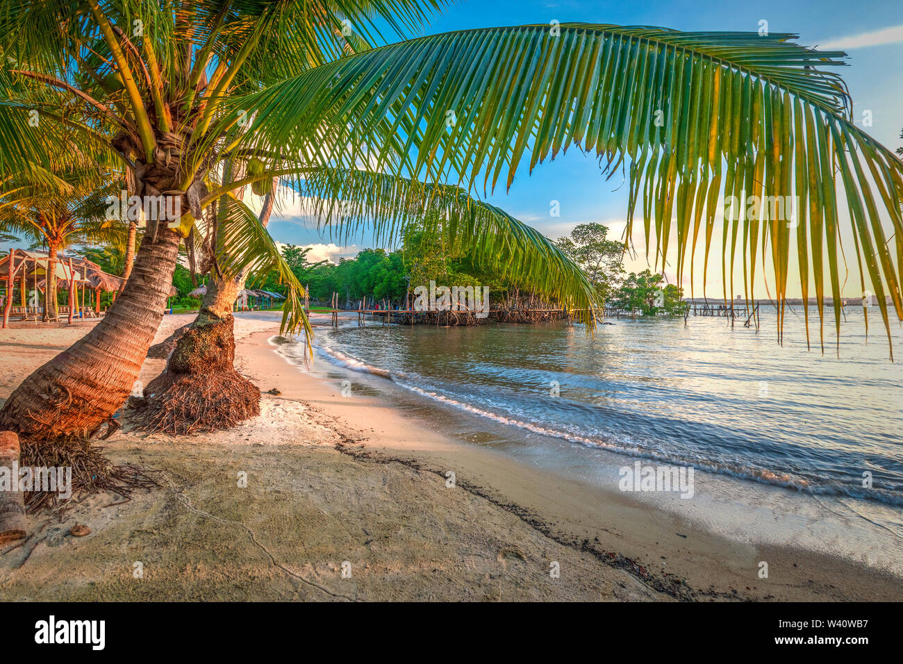 Die Schönheit der Strand mit Kokospalmen eingerichtet Stockfoto