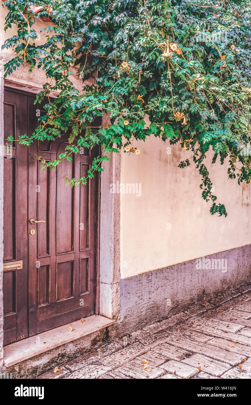 Eine Mauer aus Stein und mit grünen Campingplatz und Efeu ist eine braune Tür. Vertikale Begrünung von Städten. Stockfoto