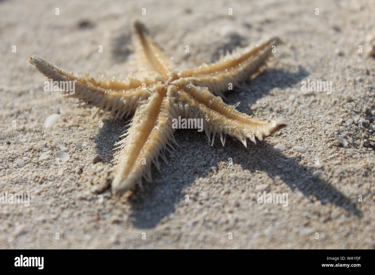 Urlaub Meer Strand Sand Sun-Serie Stockfoto