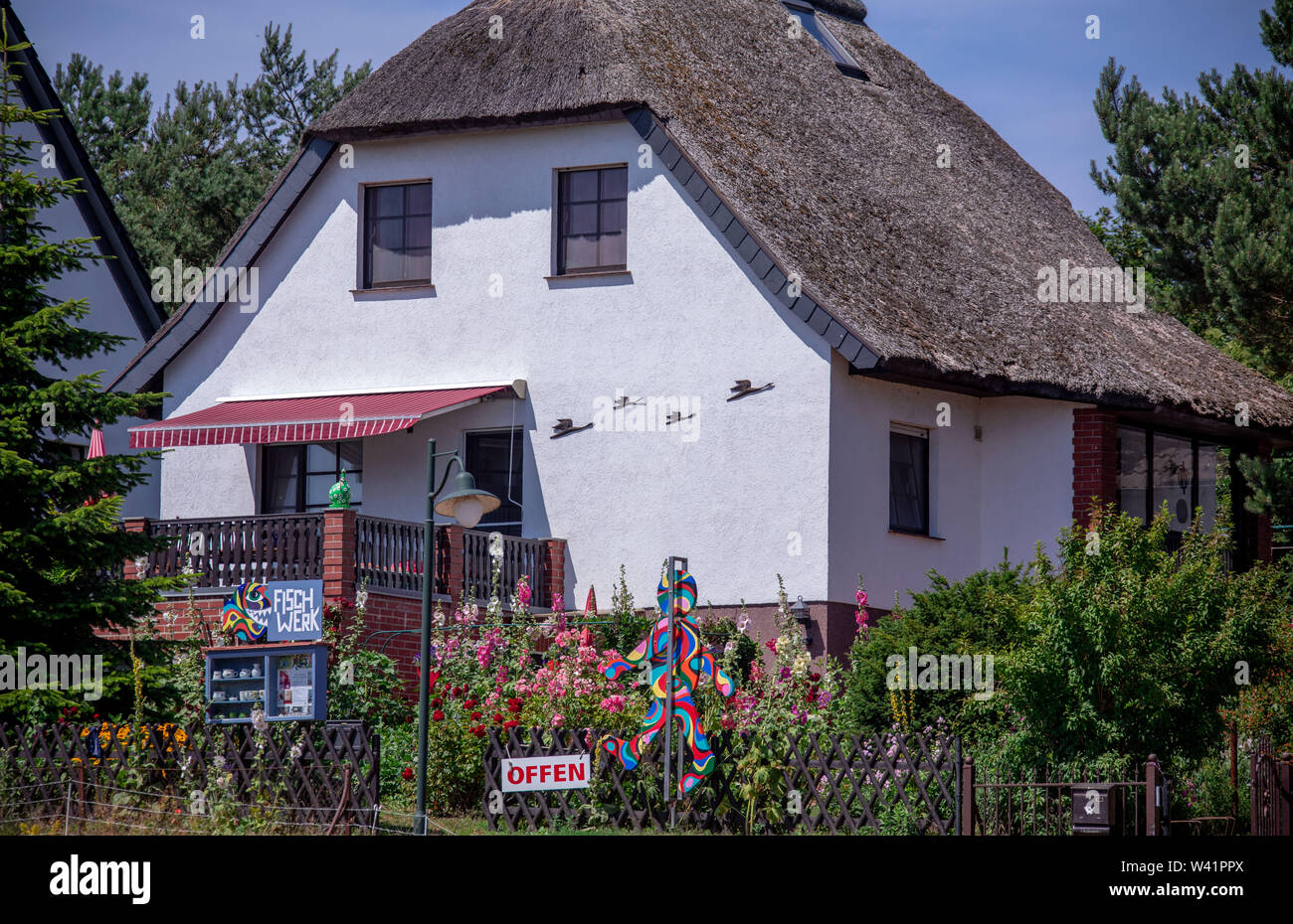 11 Juli 2019, Mecklenburg-Vorpommern, Kloster: eine Galerie und Töpferei erwartet den Besucher im Norden der Ostsee Insel Hiddensee in einem Haus in der Sprache abgedeckt. Tausende Urlauber und Tagesgäste sind täglich auf der Insel in den Sommermonaten gezählt. Hiddensee ist weitgehend autofrei und Pferd und Wagen ist ein weit verbreitetes Transportmittel. Hiddensee ist ca. 16,8 Kilometer lang, an ihrer schmalsten Stelle etwa 250 Meter breit und am breitesten rund 3,7 Kilometer breit. Innerhalb der Nationalpark Vorpommersche Boddenlandschaft ist es die größte Insel. Foto: Jens Büttner/dpa-Zent Stockfoto