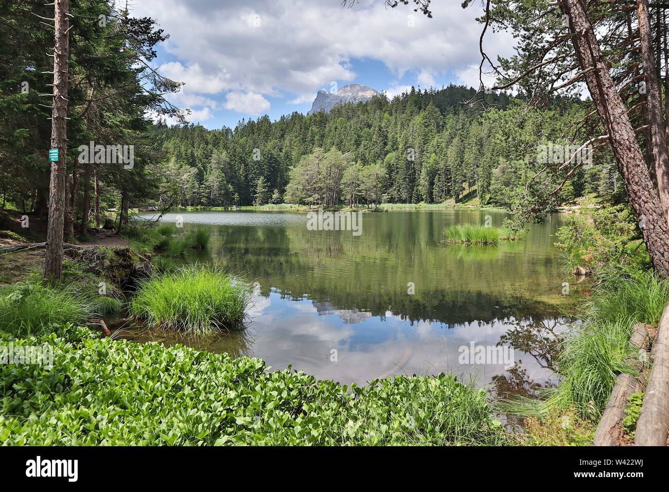 Tirol, Österreich 16.07.2019: Impressionen Tirol - 16.07.2019 Moeserer/Möserer in Moesern/Mösern | Verwendung weltweit Stockfoto