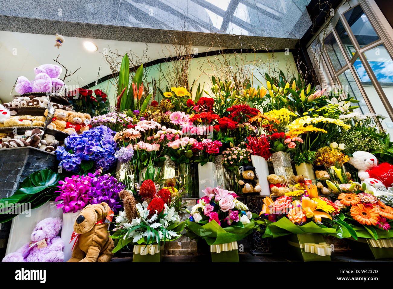 Nahaufnahme einer Blume Geschenk Shop mit Blumensträußen und Teddybären in Boxen zu nehmen und kleine gefüllte Hunde in einem modernen Showroom Stockfoto