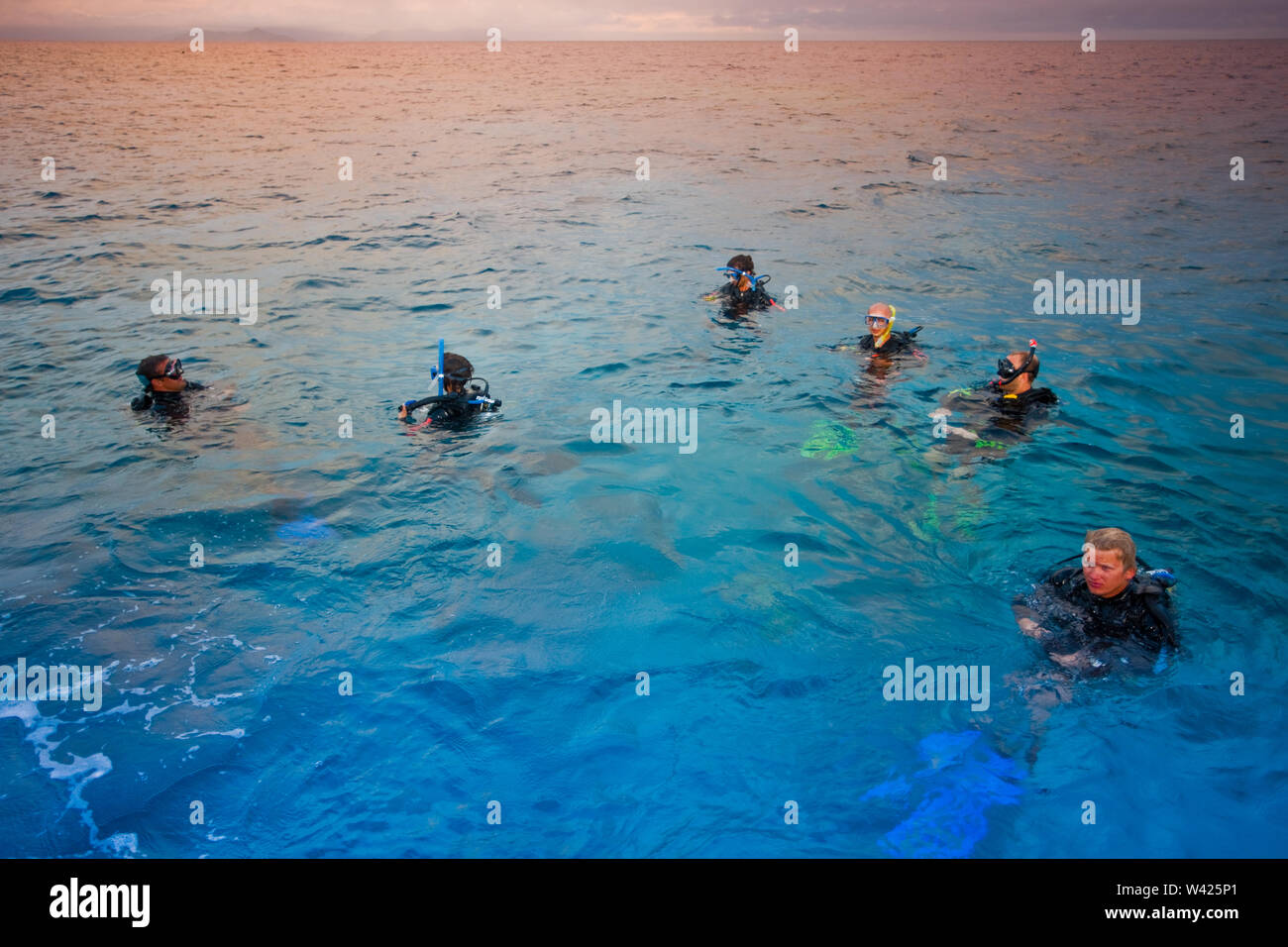 Männer schwimmen im Meer mit dem Tauchen Apparate Stockfoto