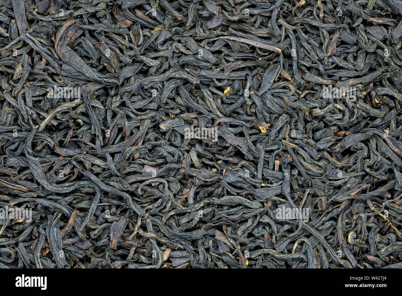 Da Hong Pao oolong Tee, Nahaufnahme, Makro. Chinesische Große Rote Robe oolong Tee als energetische Trinken und zur Gewichtsreduktion verwendet. Stockfoto