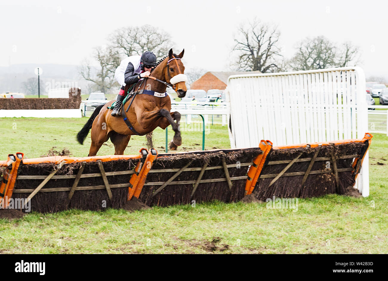 Über die Sprünge Stockfoto