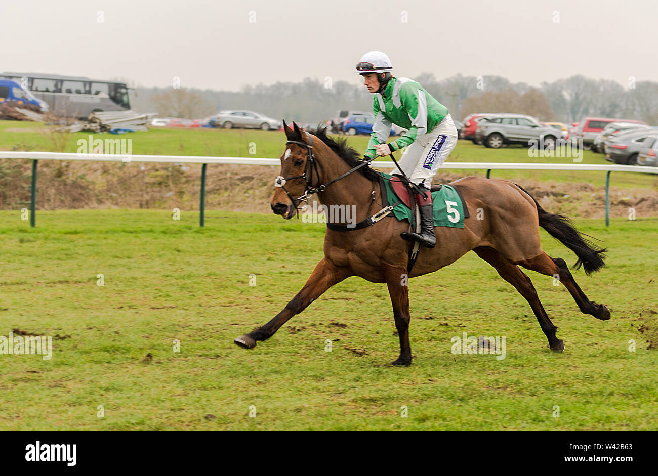 Pferderennen in Towcester Stockfoto