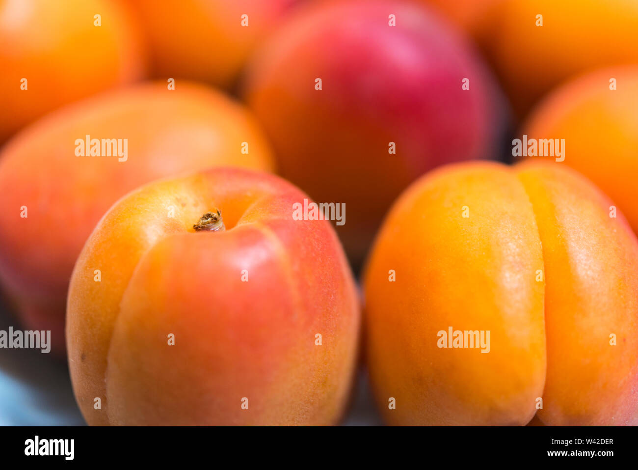 Ganz, frisch, Erröten, Aprikosen, schoß schließen Stockfoto
