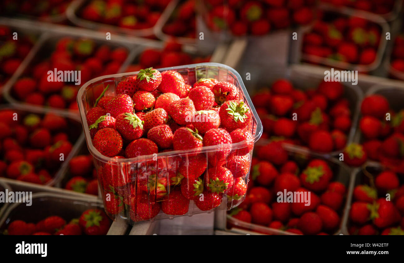 Erdbeeren in einem Kunststoffbehälter bei Farmers Market, blur Erdbeeren Hintergrund. Nahaufnahme, kopieren Raum Stockfoto