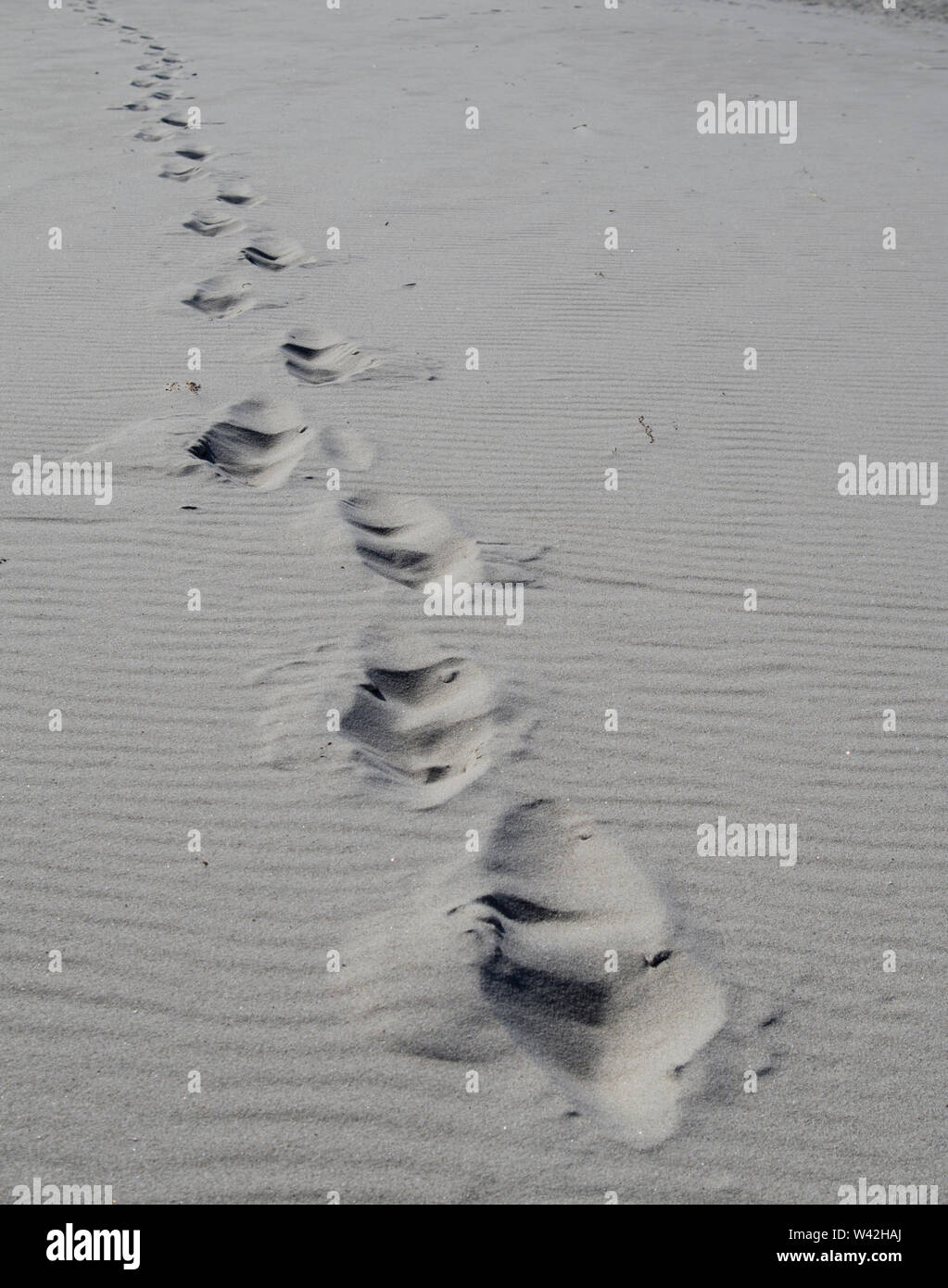 Spuren im Sand am Strand, lange teilweise wattierte Footprint im weißen Sand. Stockfoto
