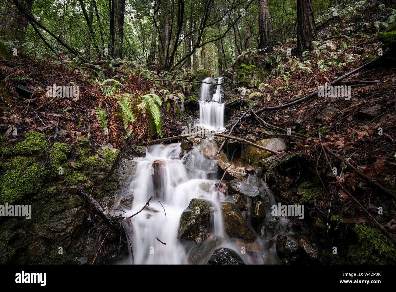 Wasserfall in Kalifornien Wald Stockfoto