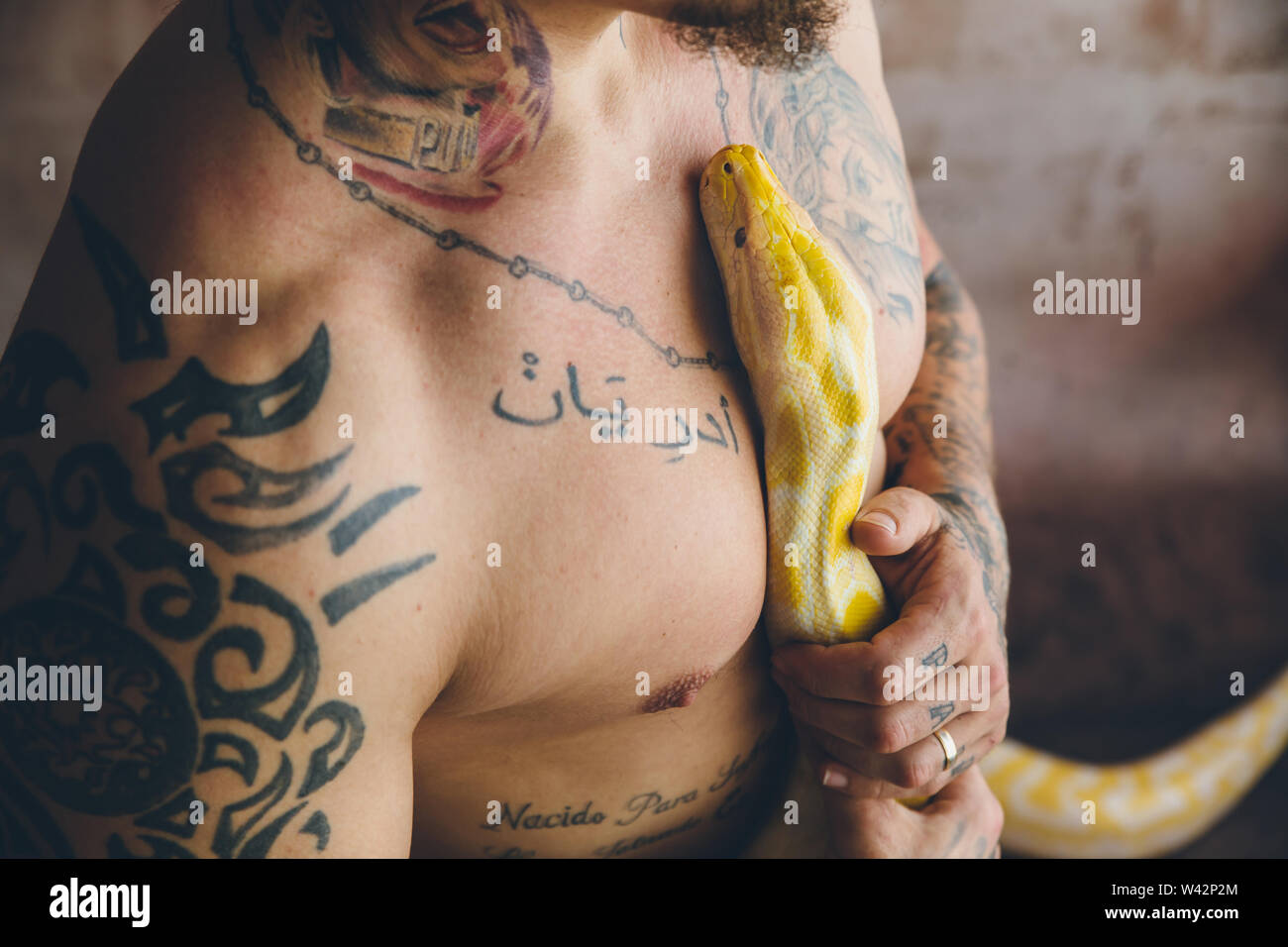 Tätowierten Mann umarmt eine Python Stockfoto