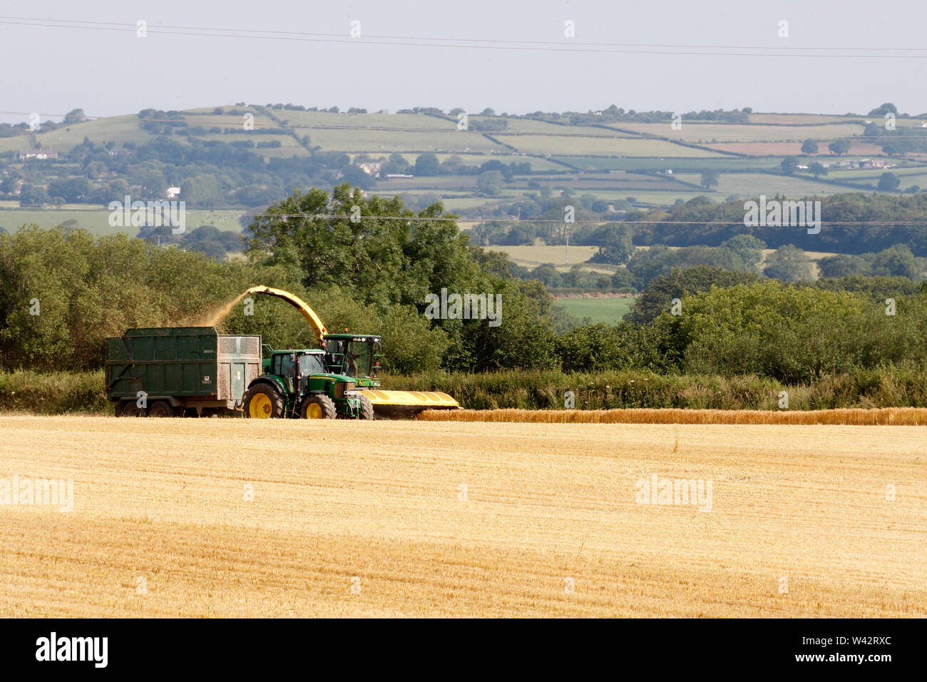 Wetter sonnig an einem warmen Juli Tag im Norden von Wales. Im Bild: die Weizenernte in der Nähe von Tremeirchion, Denbighshire, Montag, 15. Juli 2019. Stockfoto