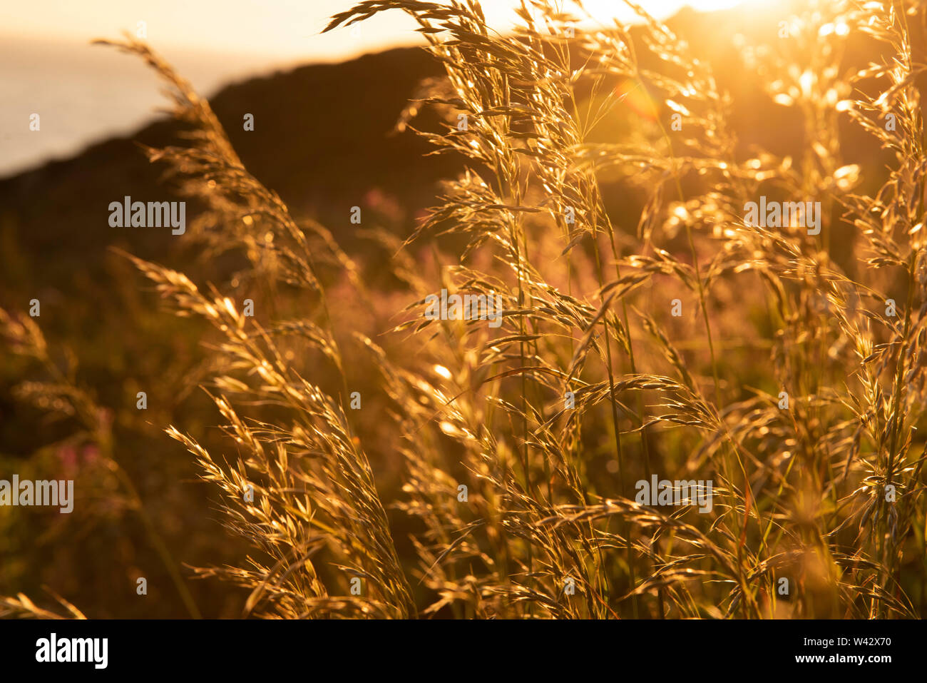 Sonnenuntergang am South Stack auf der Insel Anglesey, Wales UK Stockfoto