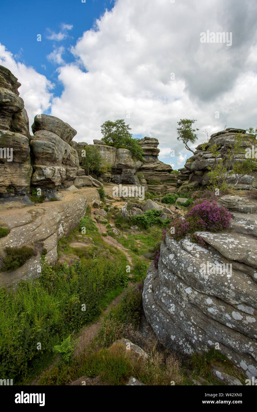 Brimham Rocks in den Yorkshire Dales Stockfoto