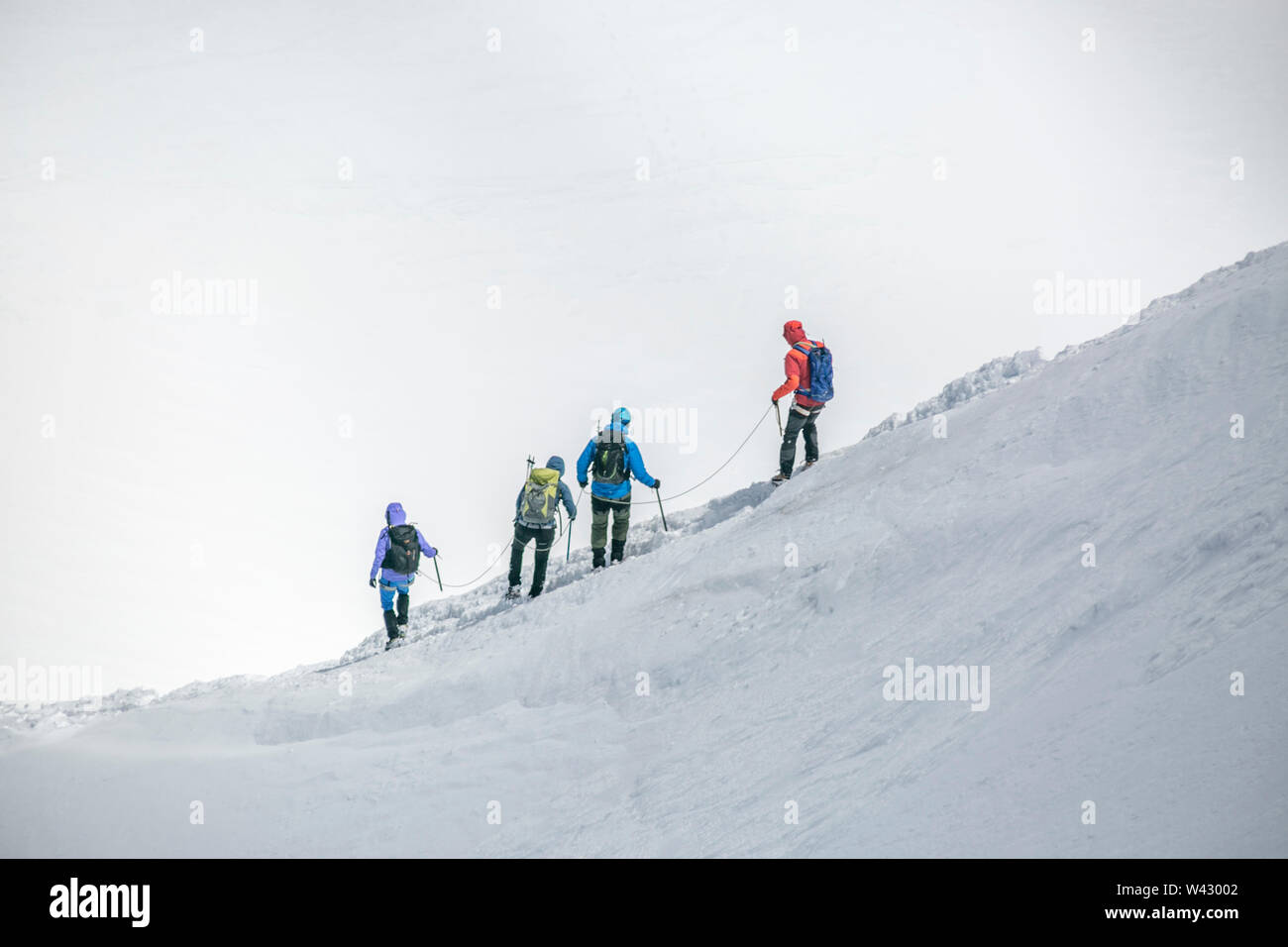 Ein Seil Team von vier Alpinisten navigiert einen Grat Linie in einem WHITEOUT Stockfoto