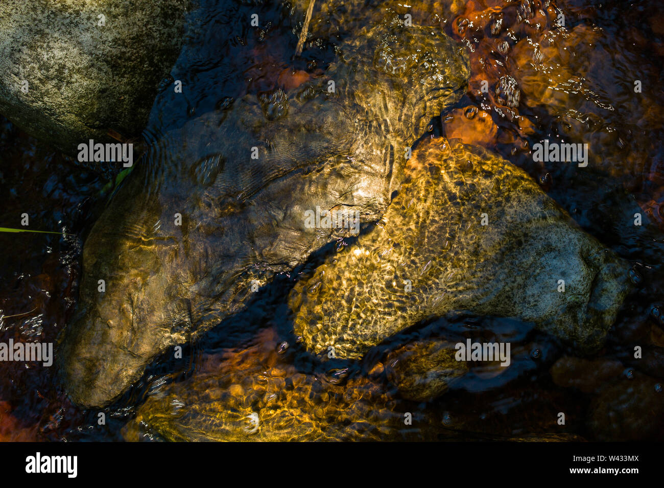 Groeneweide Wanderweg, Saasveld, George, Western Cape, Südafrika, bietet eine wunderschöne Aussicht auf Wälder, Flüsse und Bäche. Stockfoto