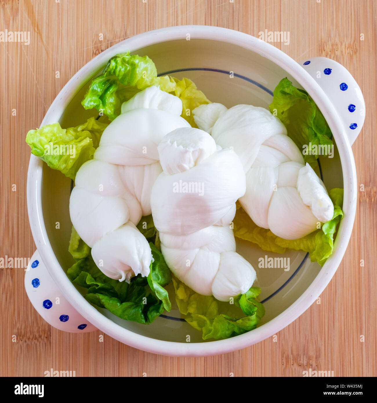 Die Milch von Kuh Mozarella handgefertigt in Apulien, Italien Stockfoto