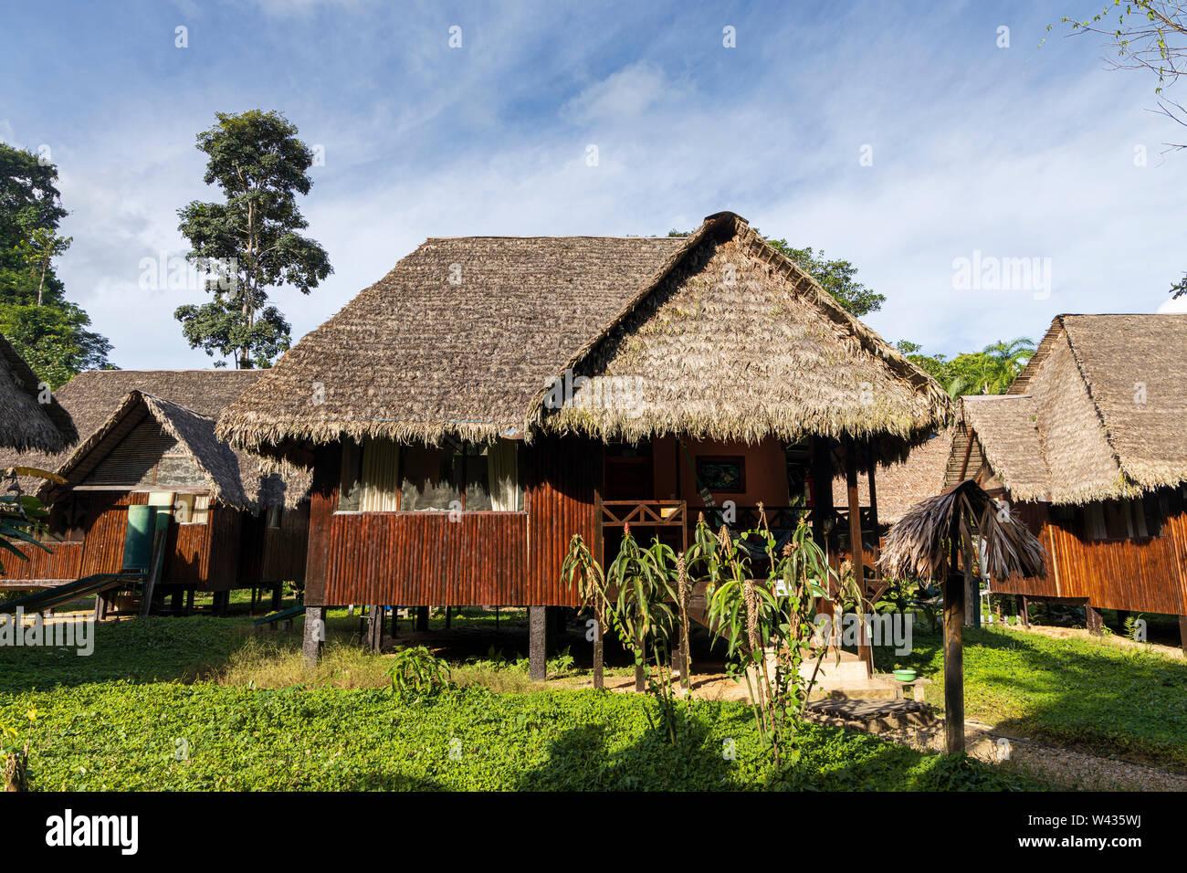 Lodges auf dem Tambopata Ecolodge, Amazonas, Peru, Südamerika Stockfoto
