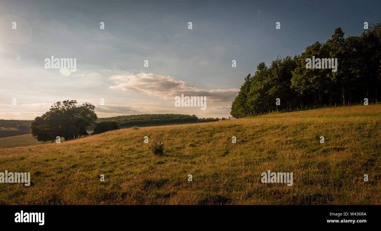 Antiken oder mittelalterlichen Bereich Systeme und Grenzen in Arundel Park, West Sussex, Großbritannien Stockfoto