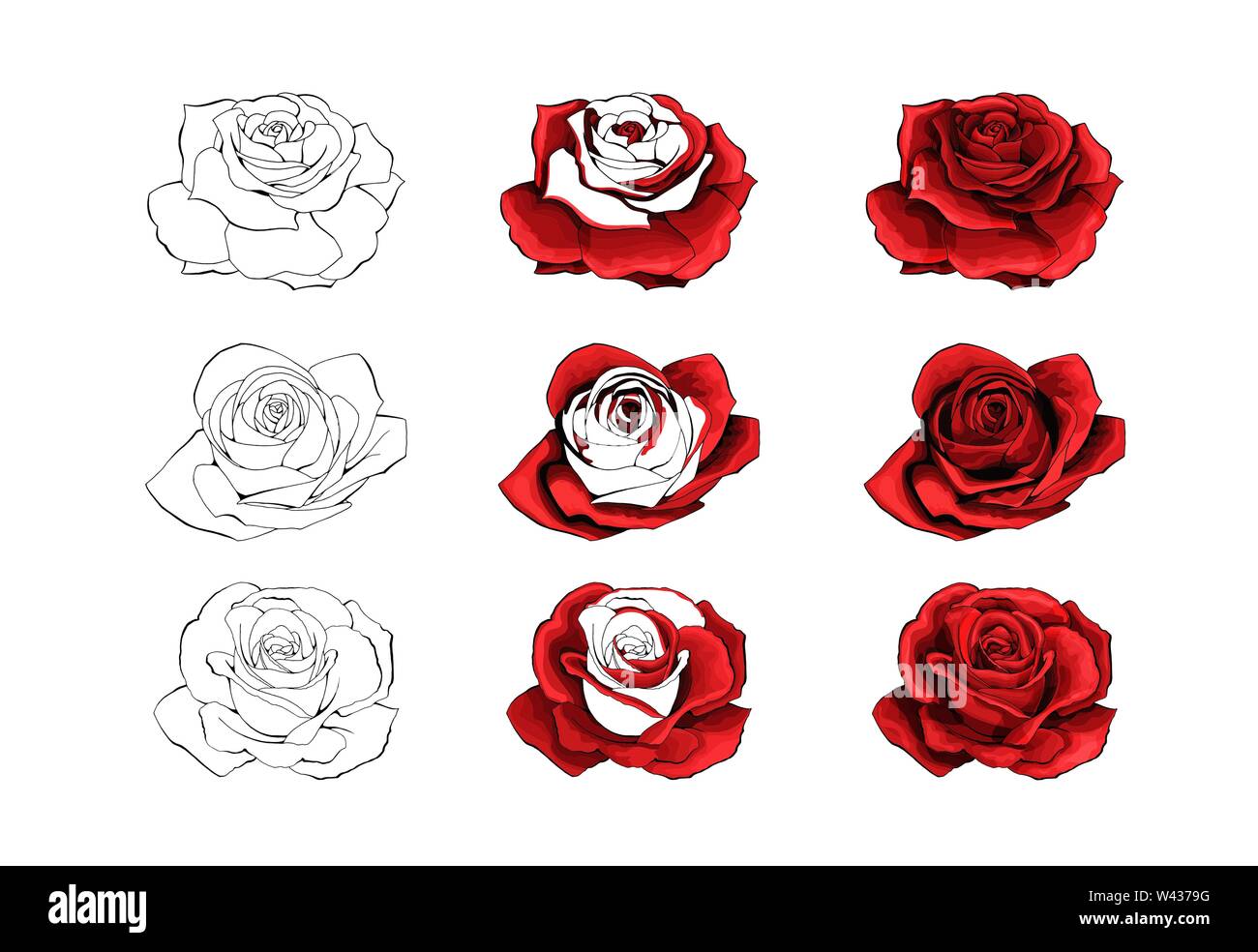 Rose Hand zeichnen und gefärbt. Eine blühende Rose. Vector Abbildung Stock Vektor