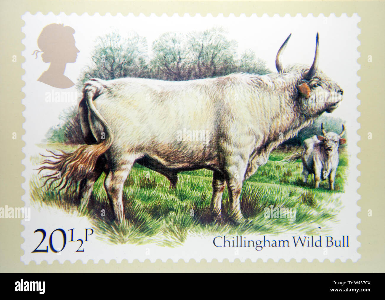 Britische Briefmarkensammlungen Stockfoto