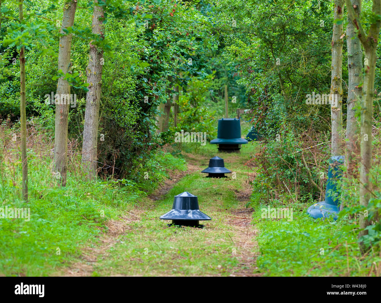 Zuführungen für Fasane, Rebhühner und federwild von einem wildhüter verwendet saß in einer Fütterung Reiten im Wald auf einem traditionellen Immobilien schießen in England Stockfoto