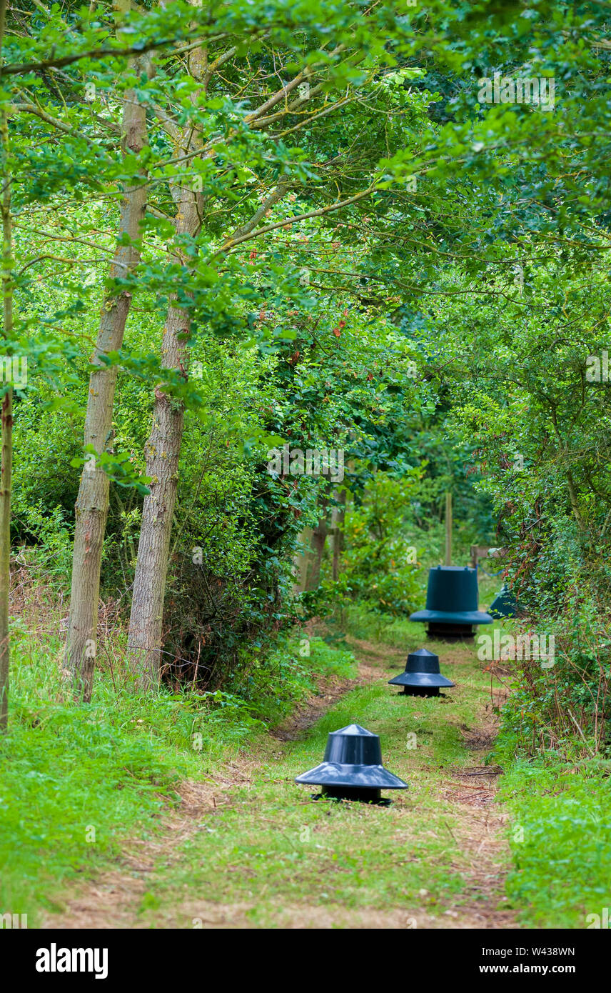 Zuführungen für Fasane, Rebhühner und federwild von einem wildhüter verwendet saß in einer Fütterung Reiten im Wald auf einem traditionellen Immobilien schießen in England Stockfoto