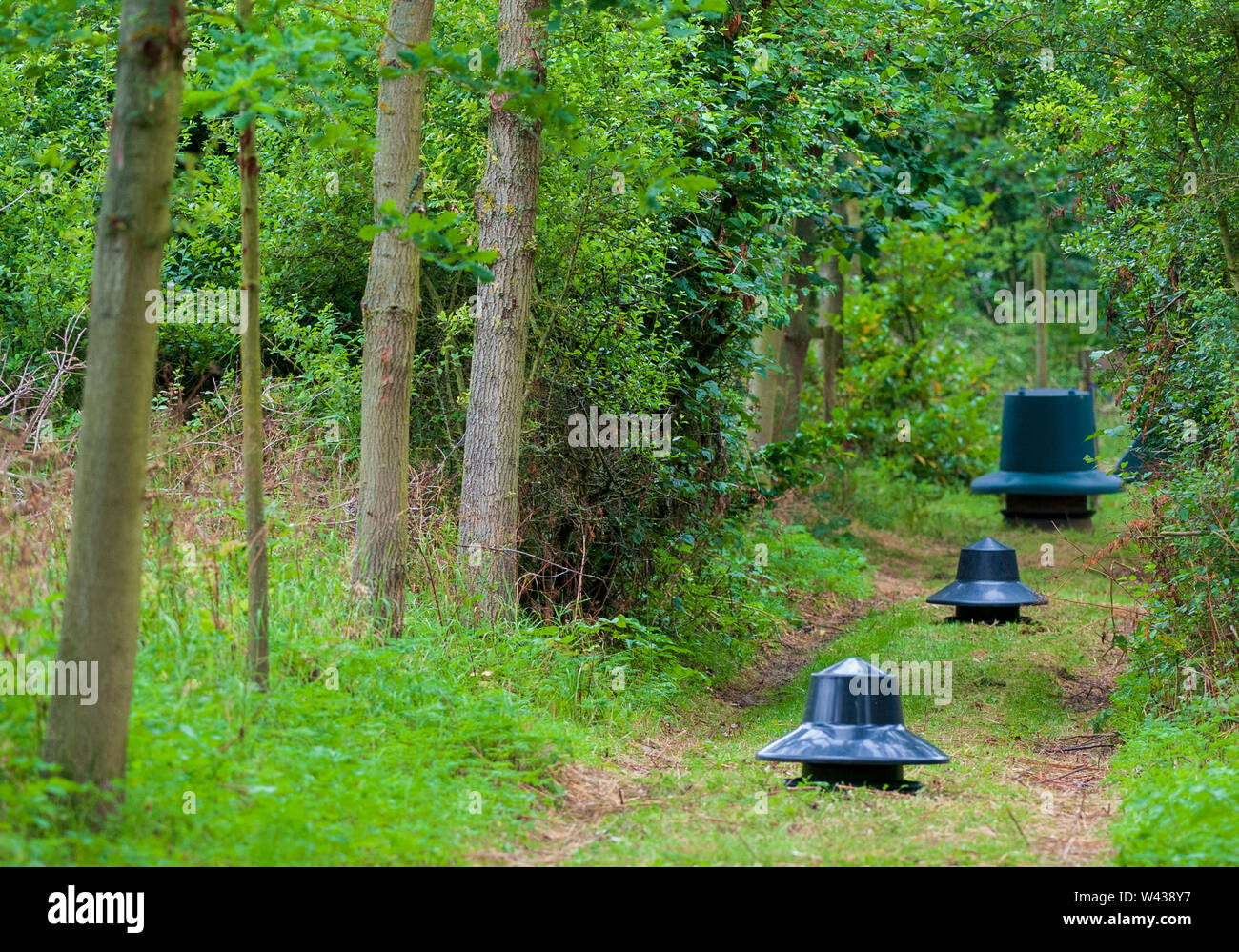 Zuführungen für Fasane, Rebhühner und federwild von einem wildhüter verwendet saß in einer Fütterung Reiten im Wald auf einem traditionellen Immobilien schießen in England Stockfoto