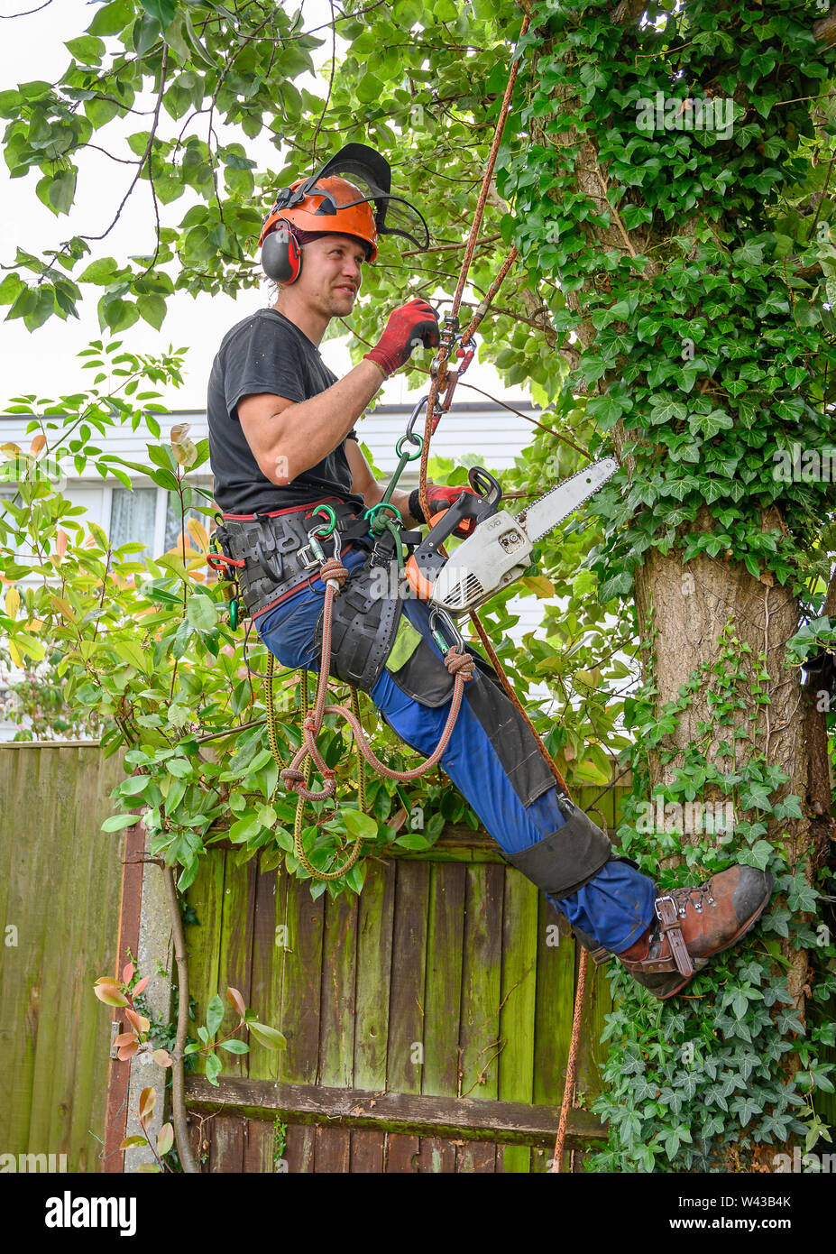Baum Chirurg oder Baumzüchter mit einer Kettensäge und Sicherheitsausrüstung bereit, bis zu einem Baum. Stockfoto