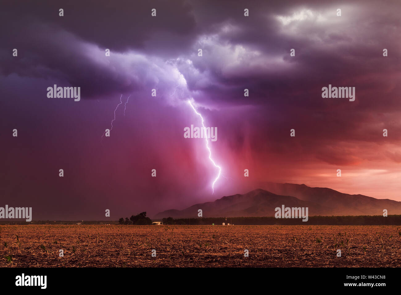 Ein Blitzschlag trifft die Dragoon Mountains, während sich bei Sonnenuntergang ein Monsunsturm durch den Südosten Arizonas zieht Stockfoto