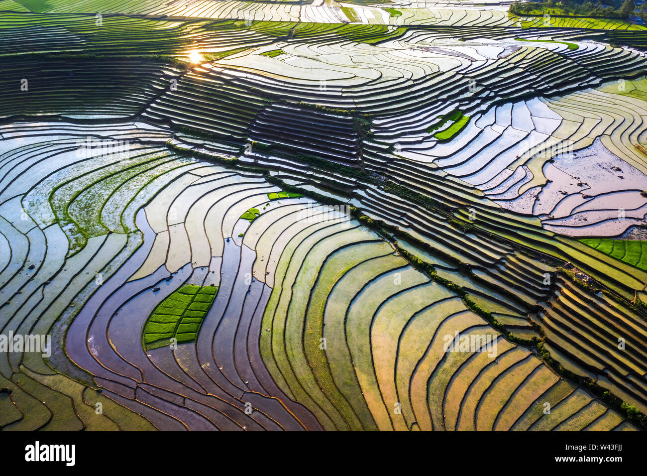 Wasser auf den Terrassen in der Nähe von Sapa, Lao Cai, Vietnam gleichen Weltkulturerbe Ifugao Reisterrassen in Batad, Northern Luzon, Philippinen. Stockfoto