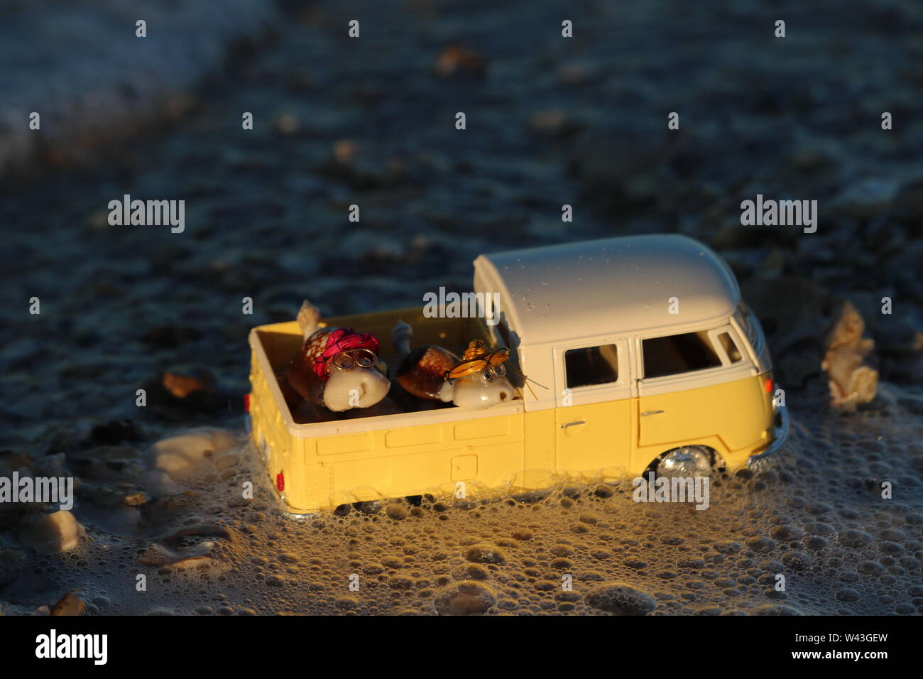 Gelb Spielzeug Volkswagen mit Muschel Spielzeug Schildkröten, von Meer Wasser blasen schildert spannende Sommerferien umgeben Stockfoto