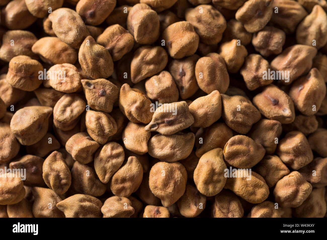 Trockene organische Kala Chana Desi Kichererbsen in eine Schüssel geben. Stockfoto