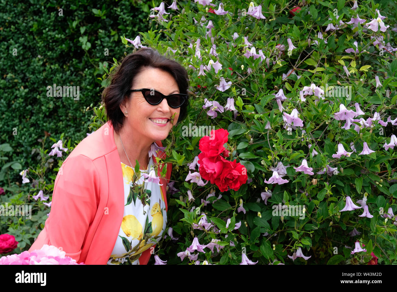 Eine reife attraktive Frau an der Kamera lächelnd neben einer roten Rose, UK - Johannes Gollop Stockfoto