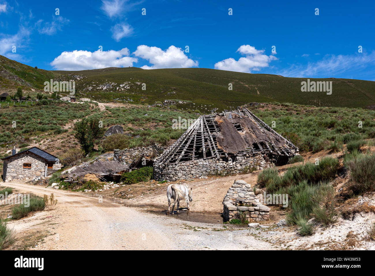 Verbleibende Palloza, traditionellen Behausung der Serra dos Ancares, verwendet als Scheune, Landschaft in der Nähe von Campo del Agua, Leon Provinz Kastilien, Spanien Stockfoto